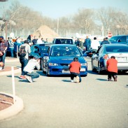 Island Import Day March 2012 – Pictorial Coverage